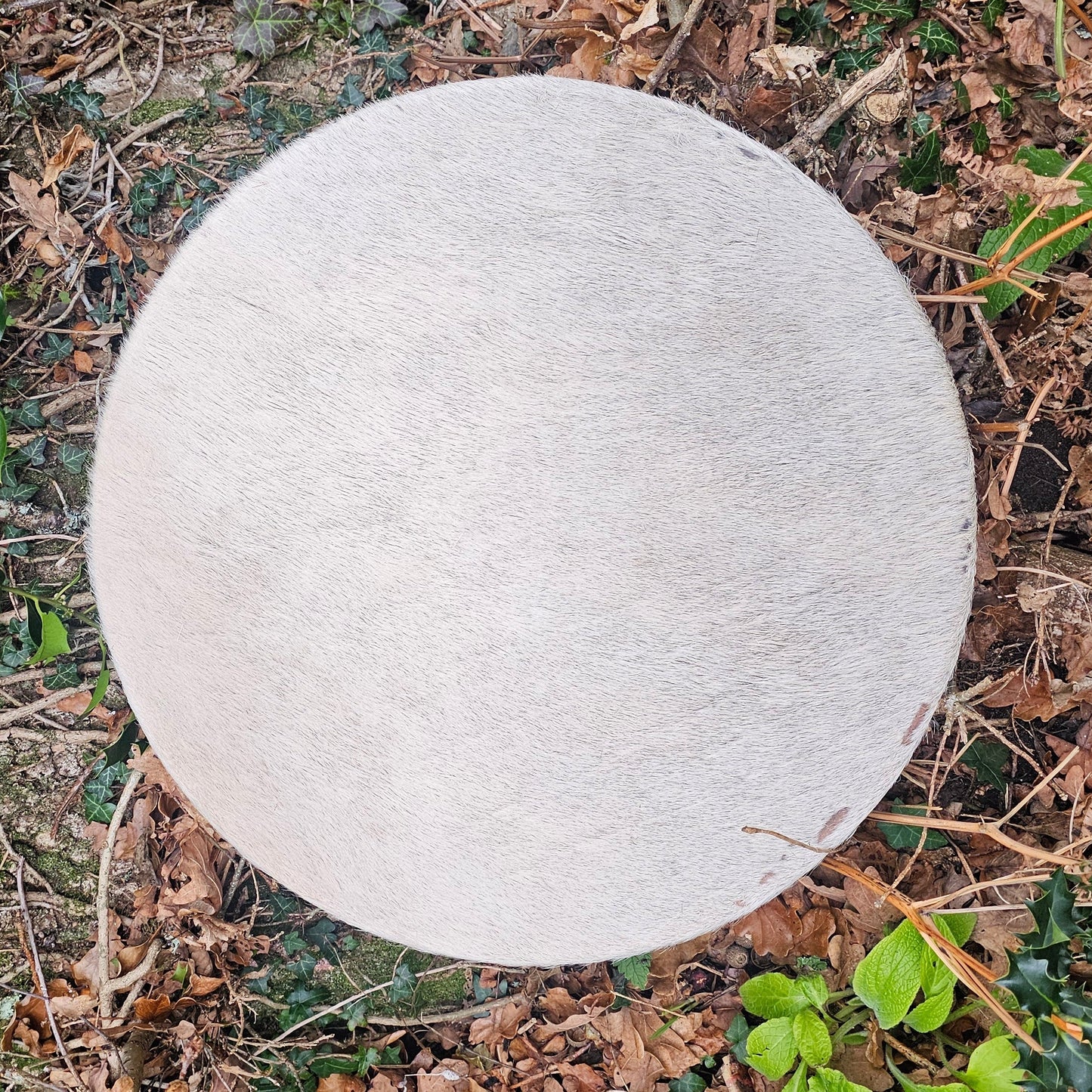 20" White Goat Drum