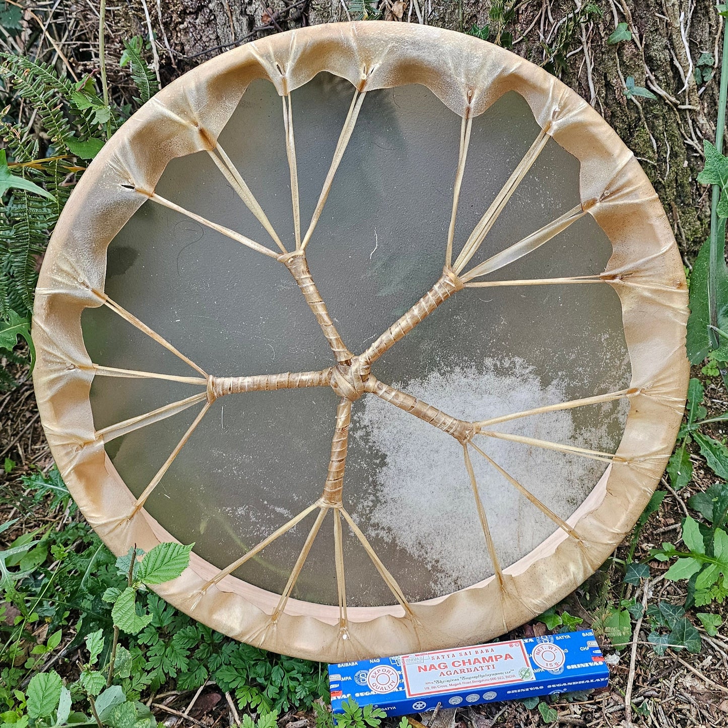Shamanic Drum