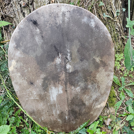 Shield Drum