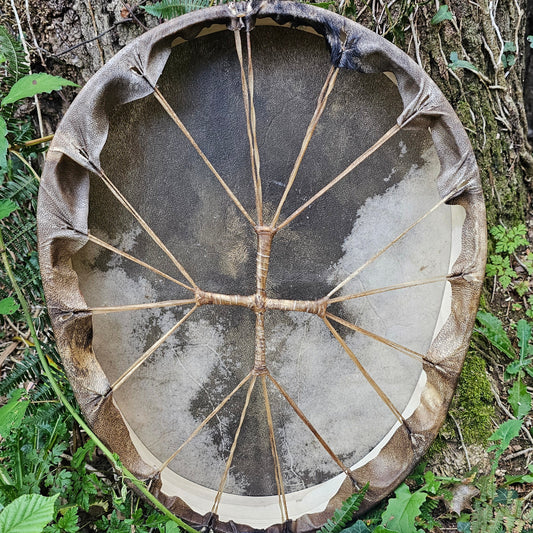 Shield Drum
