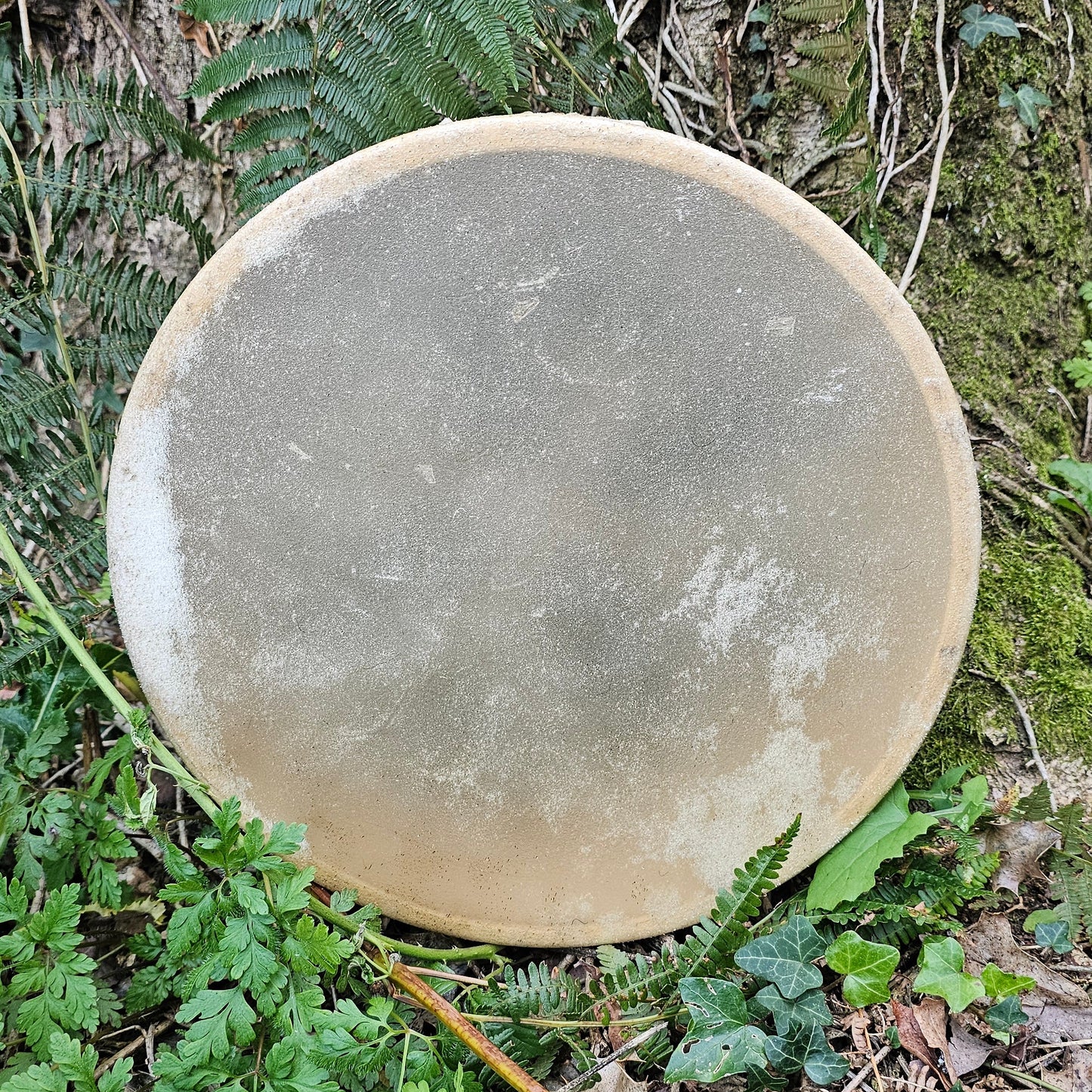 Shamanic Drum