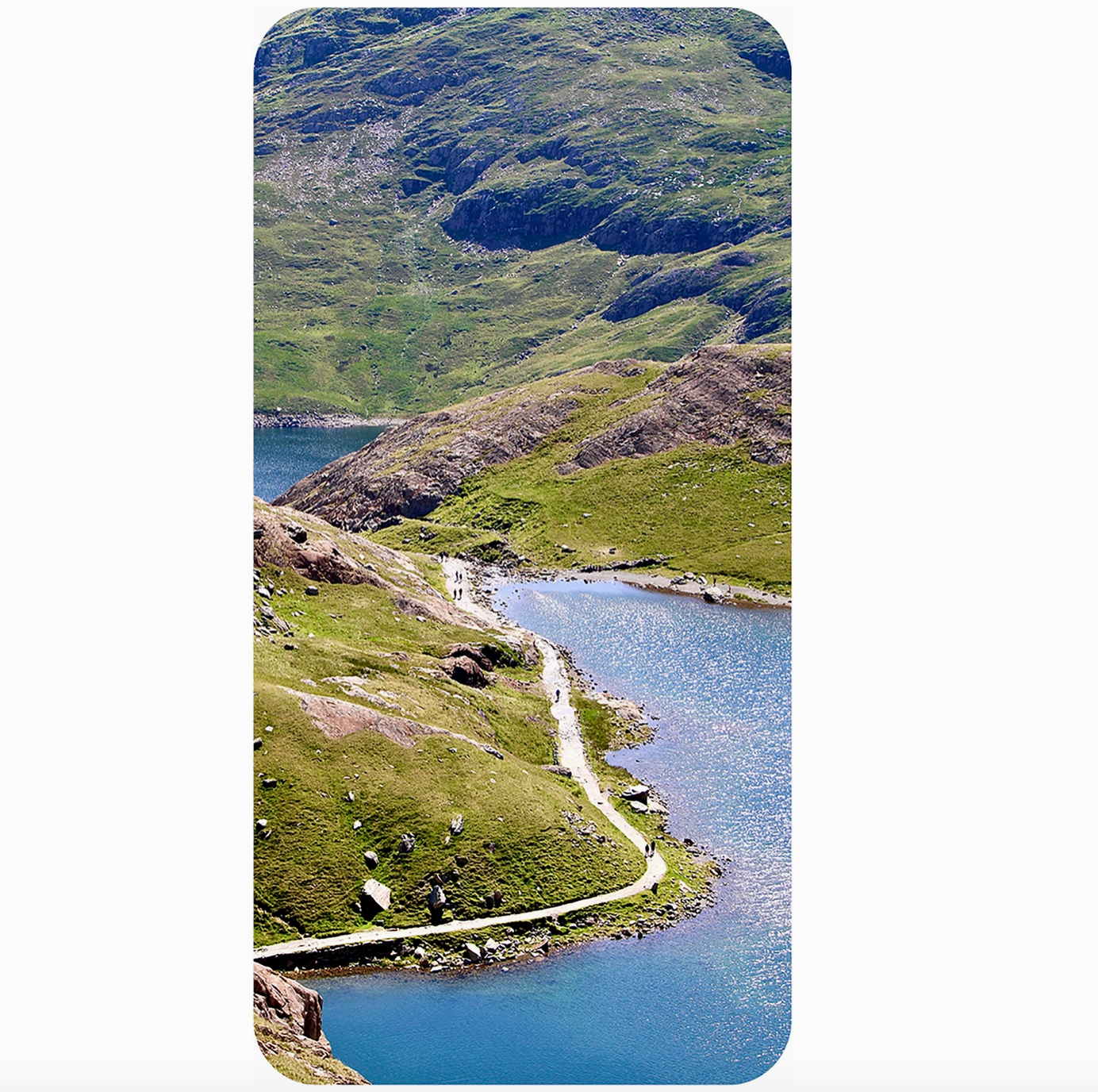 Druid Wisdom - Card Deck