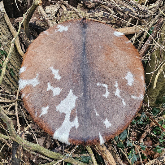 18" Tanngrisnir Drum