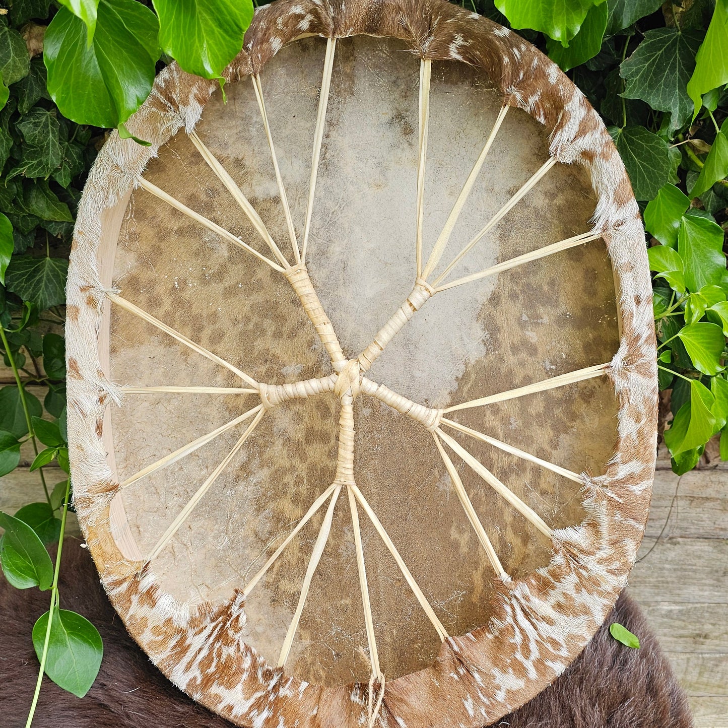 Goat Skin Furry Oval Drum - 18" x 20"