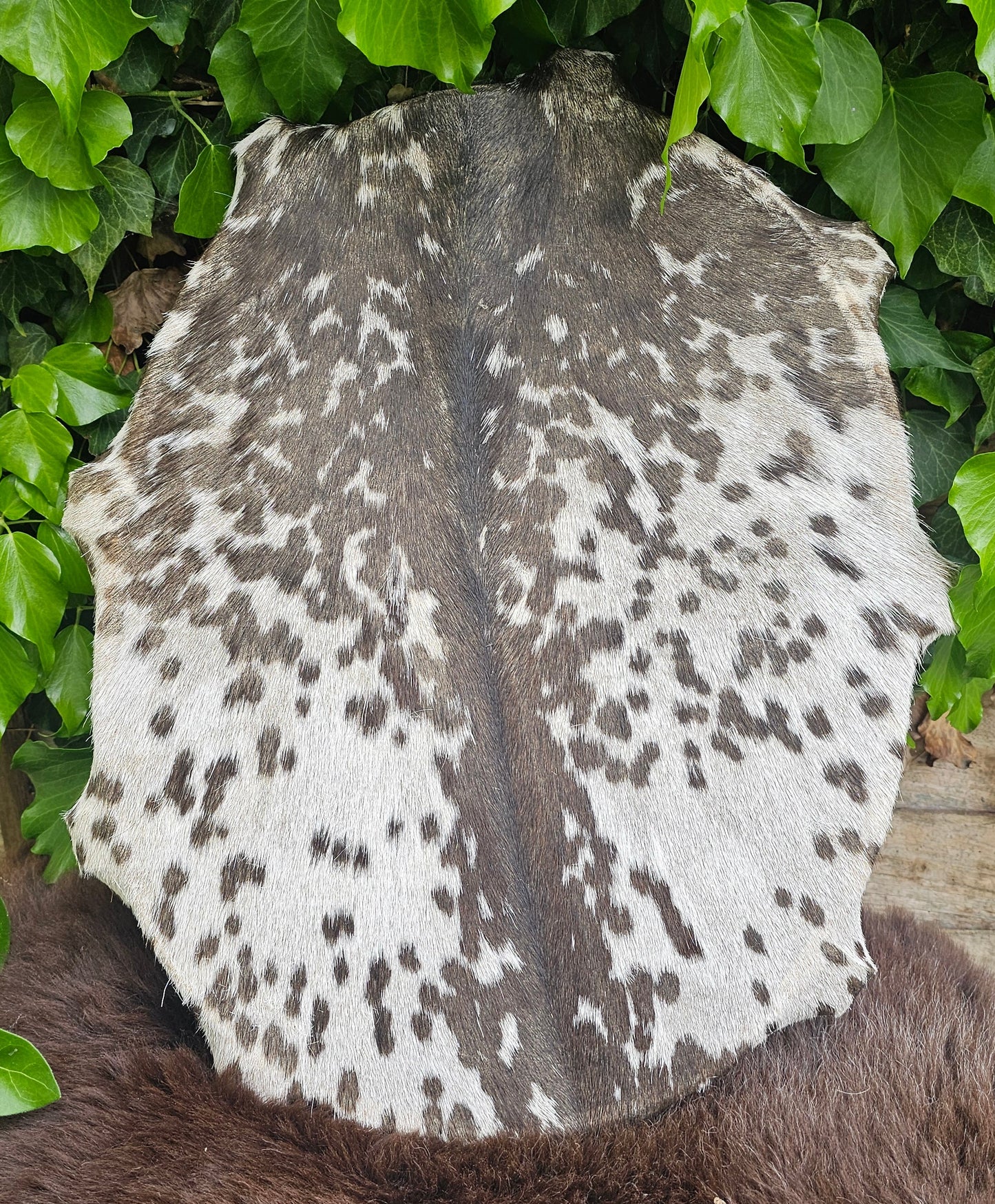 Goat Skin Siberian Oval Dum - 14" x 18"