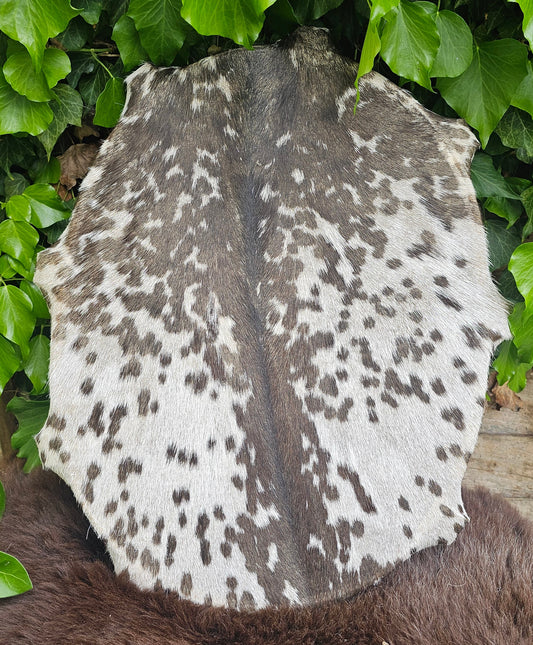 Goat Skin Siberian Oval Dum - 14" x 18"